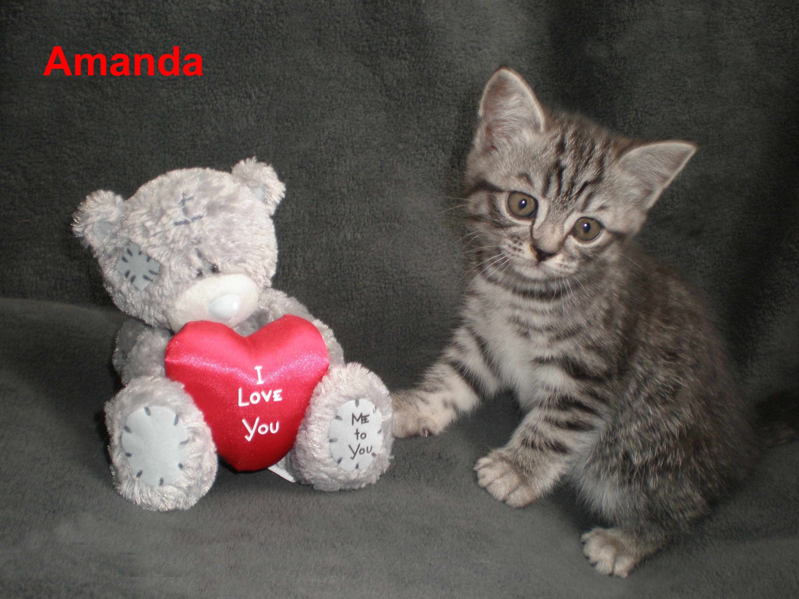 amanda